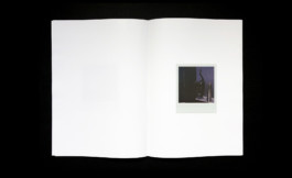 Julien Carreyn Shelter Press