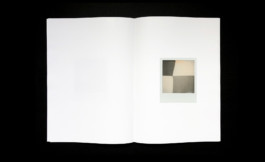 Julien Carreyn Shelter Press