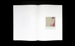 Julien Carreyn Shelter Press