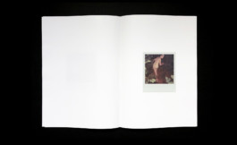 Julien Carreyn Shelter Press