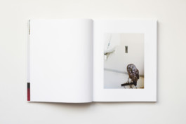 Estelle Hanania Gisele Vienne Shelter Press