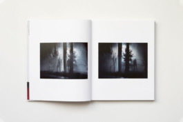 Estelle Hanania Gisele Vienne Shelter Press