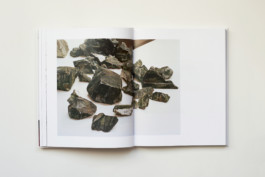 Estelle Hanania Gisele Vienne Shelter Press