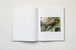 Estelle Hanania Gisele Vienne Shelter Press