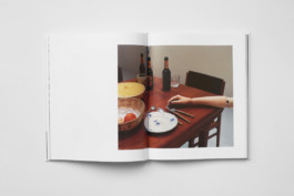 Estelle Hanania Gisele Vienne Shelter Press