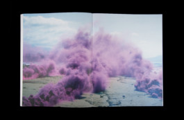 Shelter Press Villa Arson Geraldine Gourbe Judy Chicago